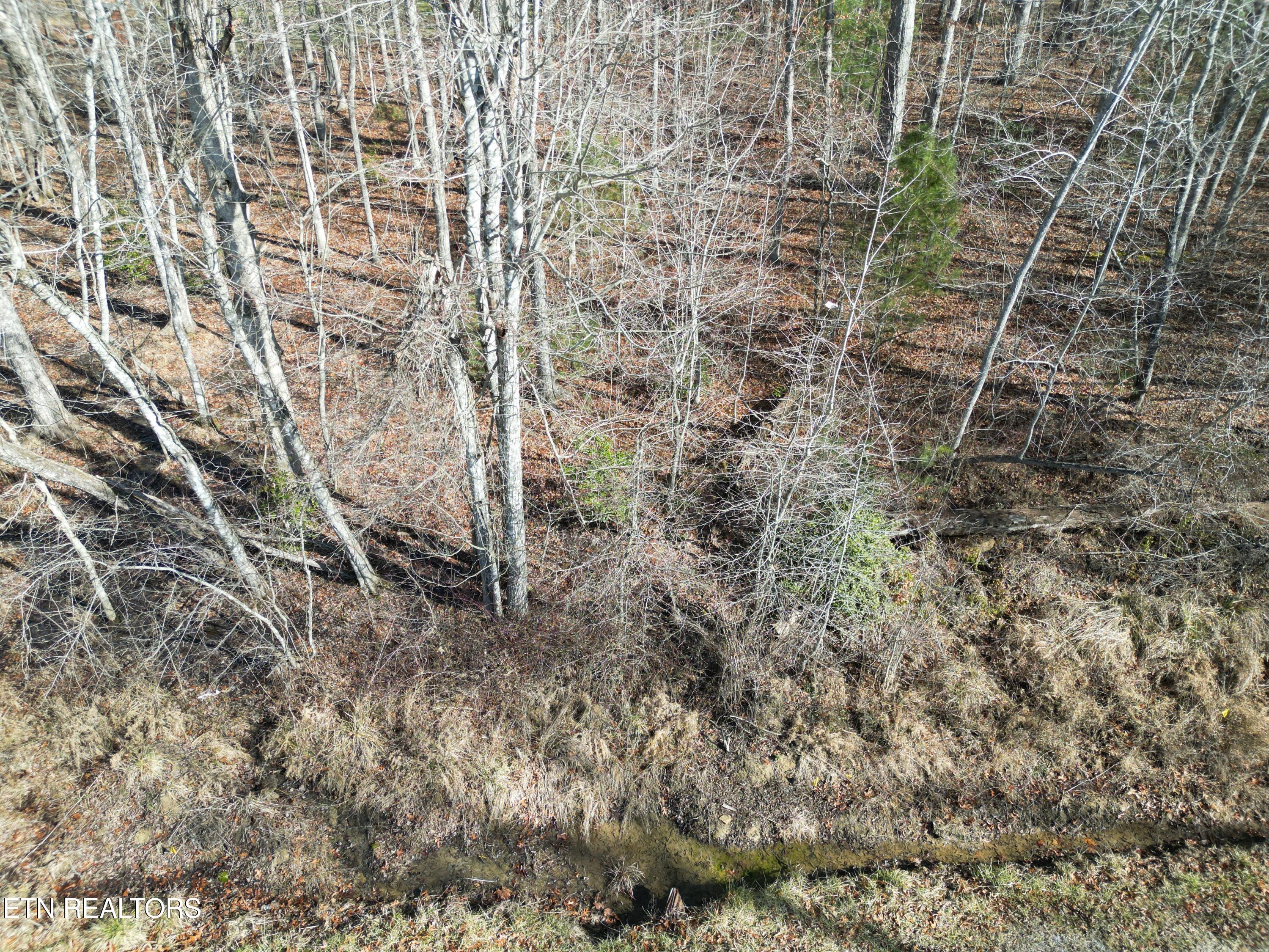 2055 Tecumseh Lane Property Photo 1