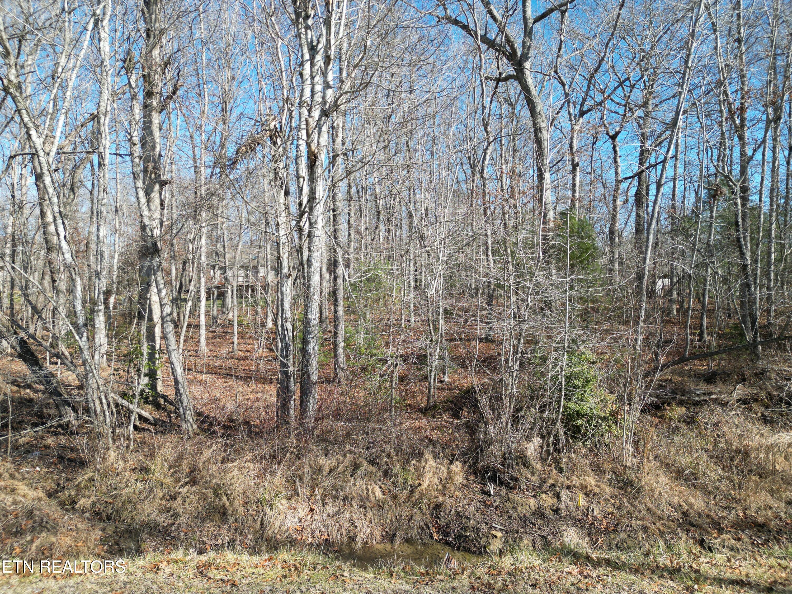 2055 Tecumseh Lane Property Photo 4