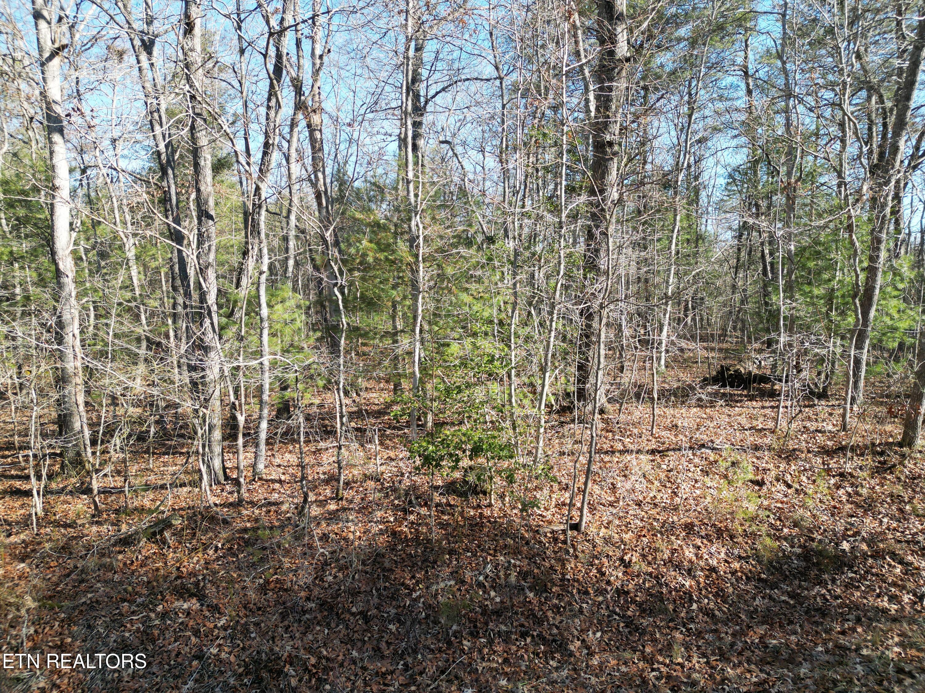 5003 Broken Bow Drive Property Photo 1