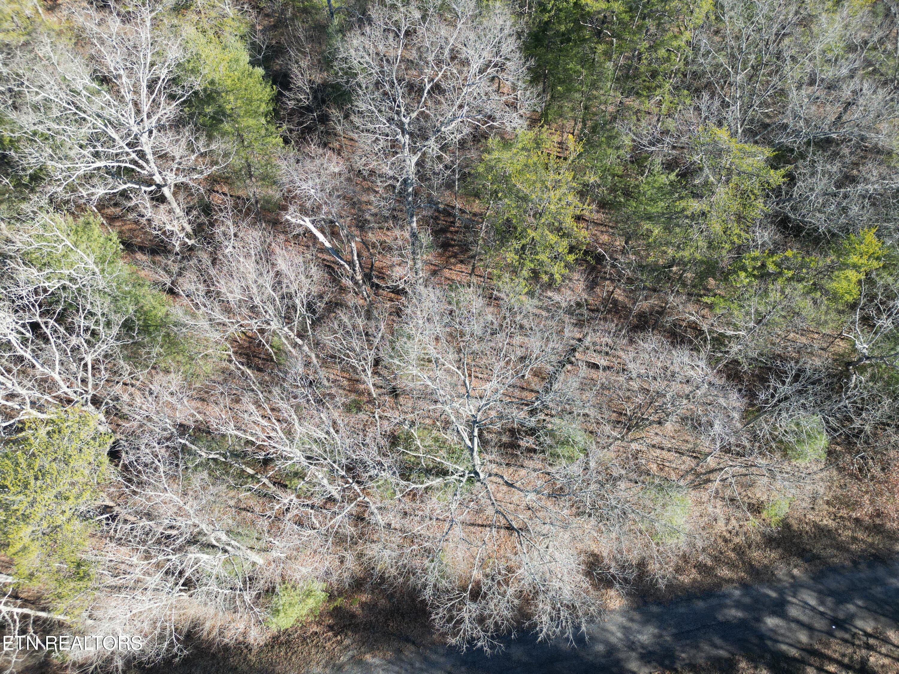 5003 Broken Bow Drive Property Photo 2