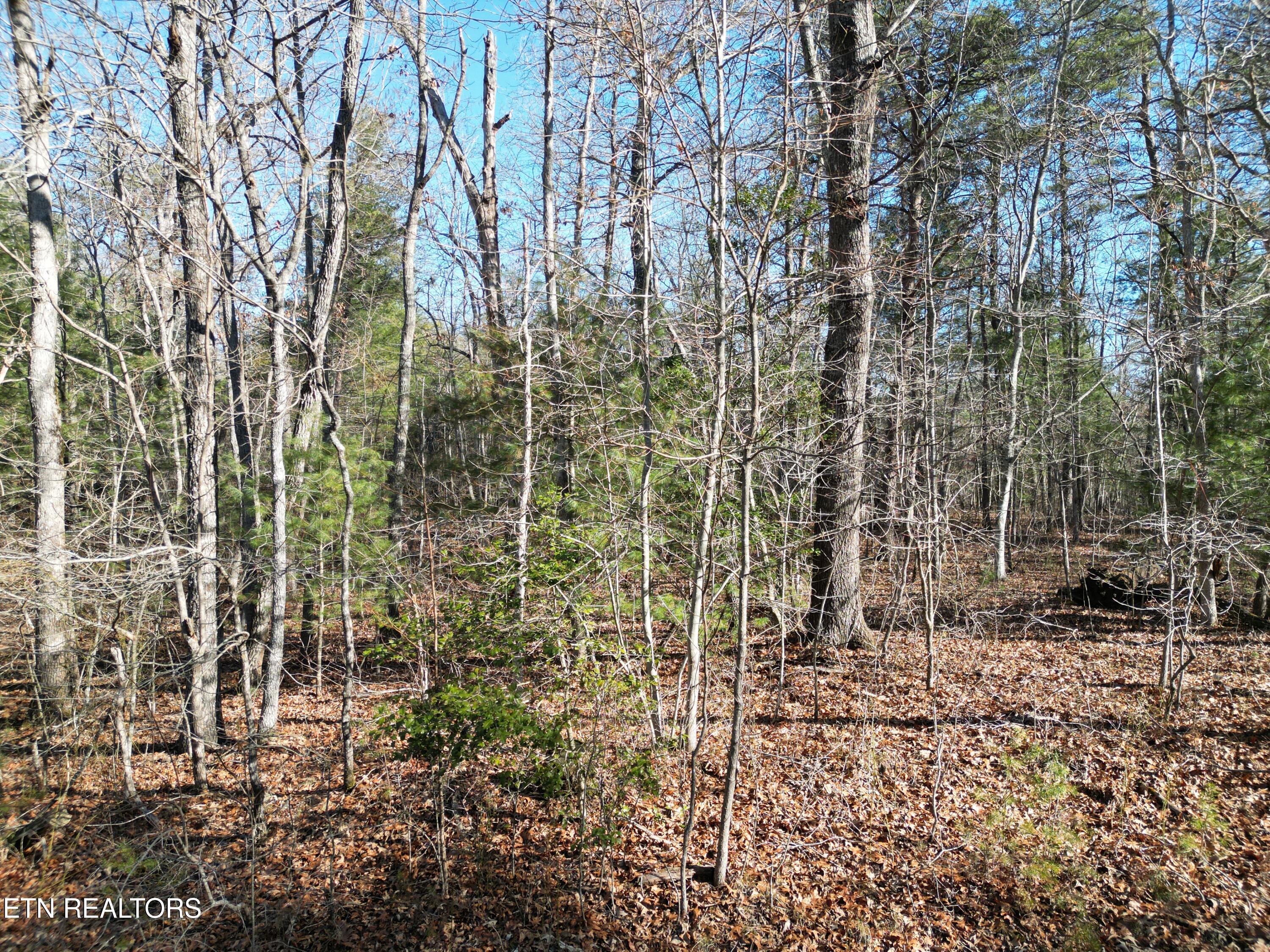 5003 Broken Bow Drive Property Photo 4