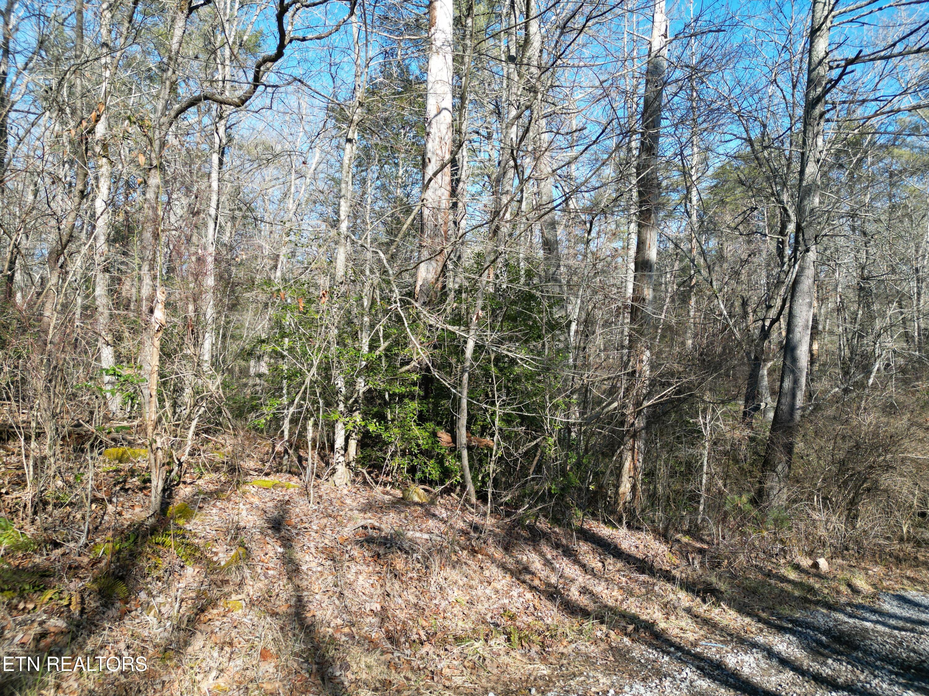 5039 Broken Bow Drive Property Photo 1
