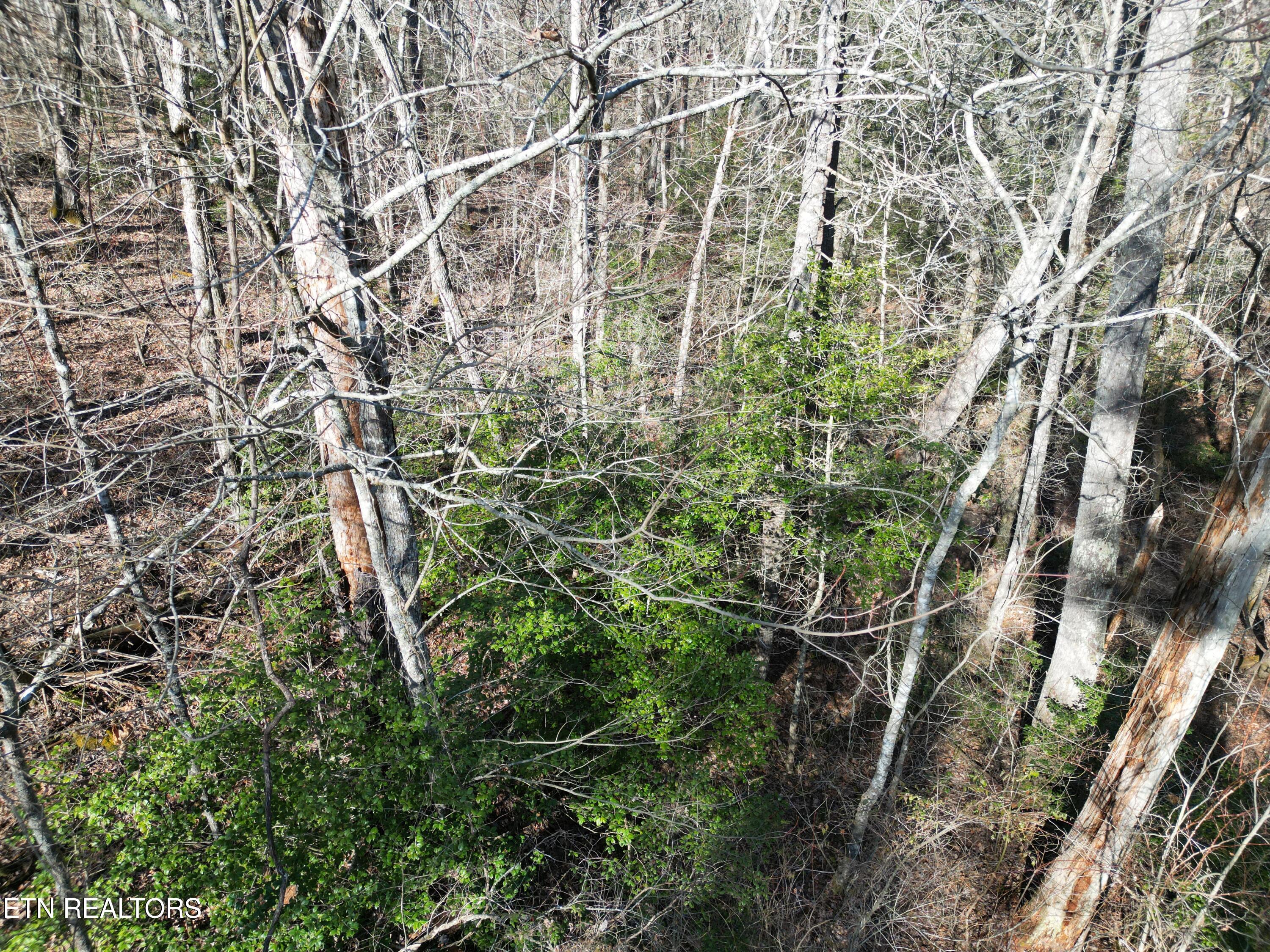 5039 Broken Bow Drive Property Photo 2