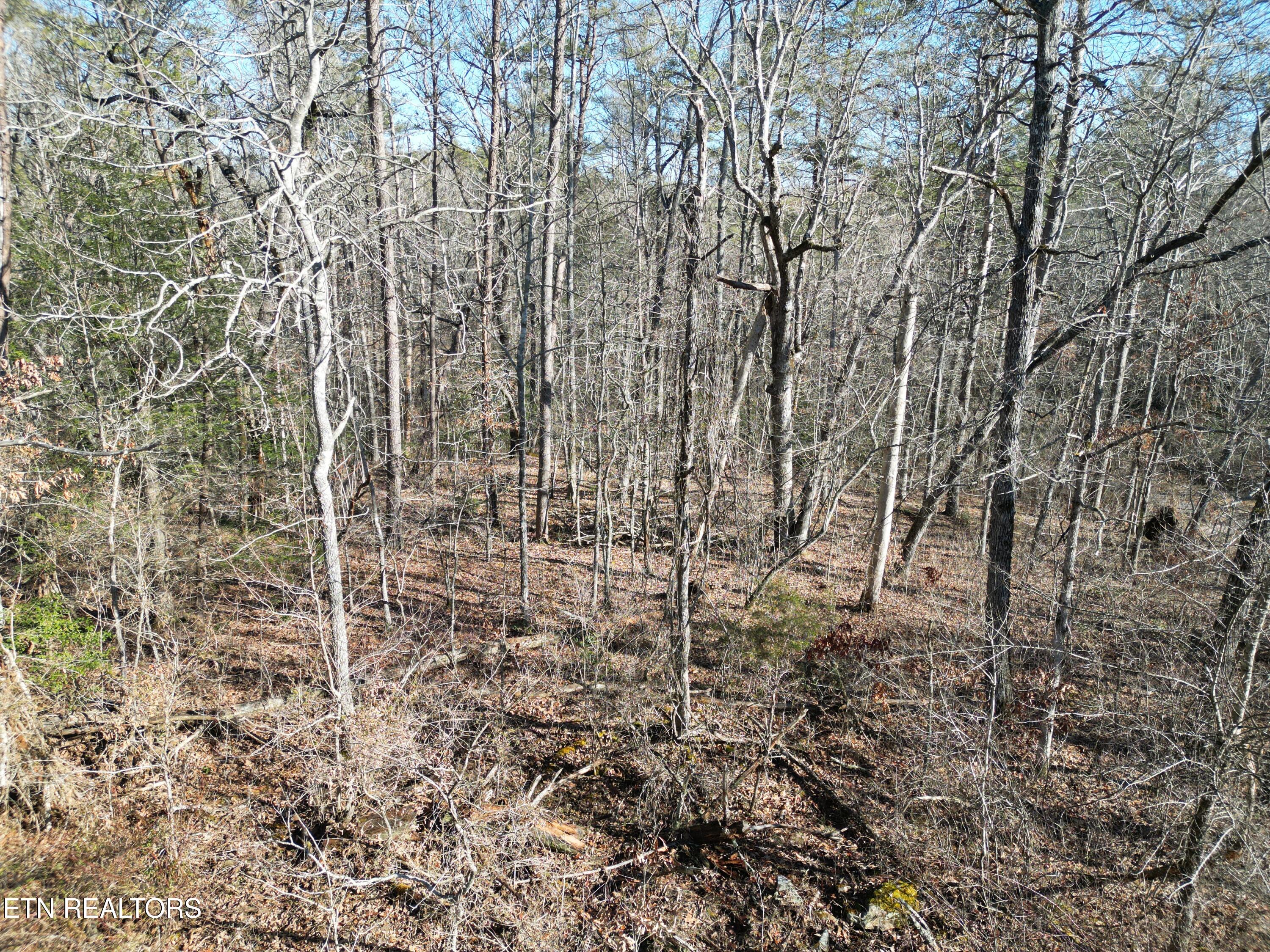 5048 Broken Bow Drive Property Photo 1