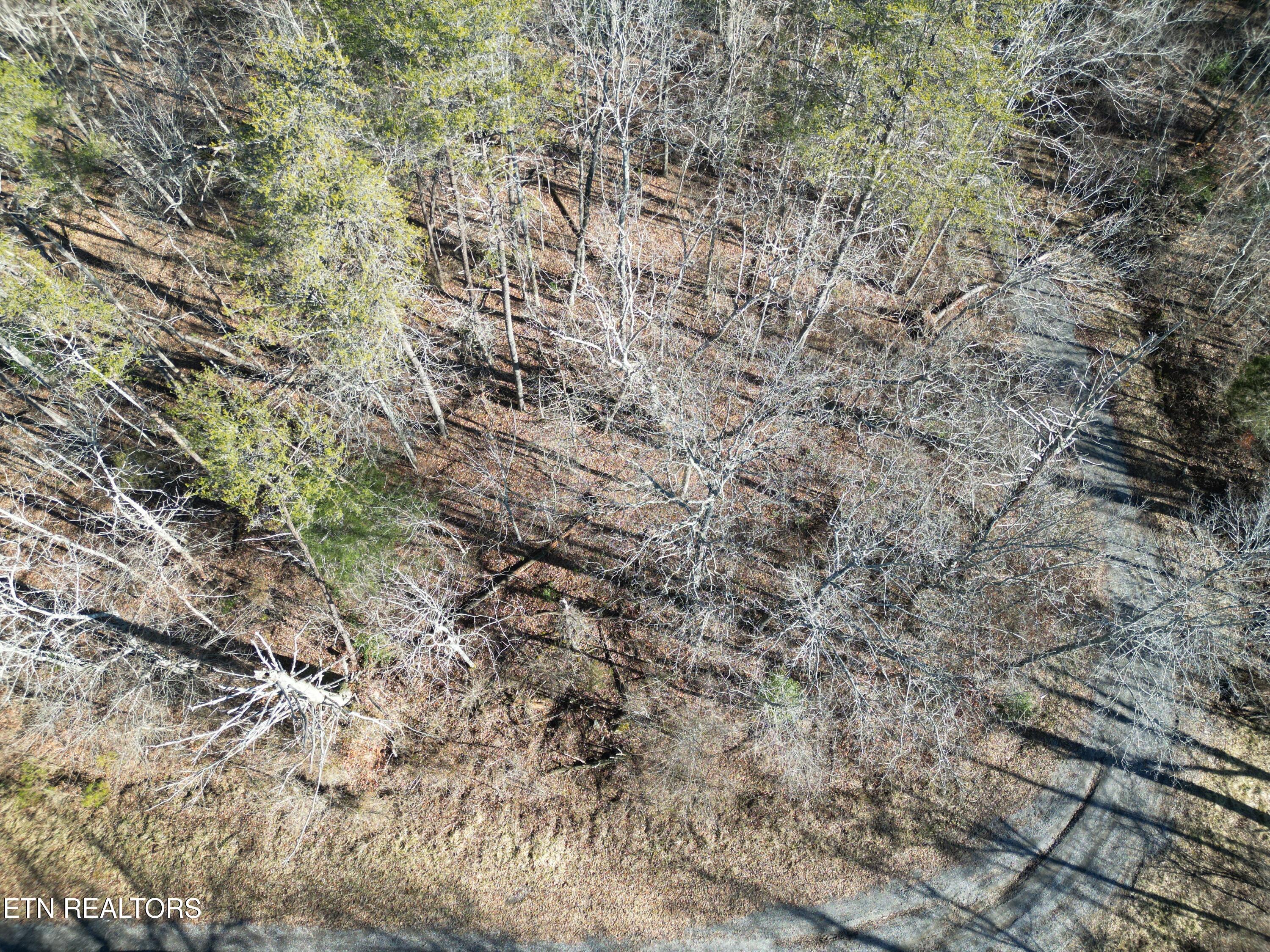 5048 Broken Bow Drive Property Photo 2
