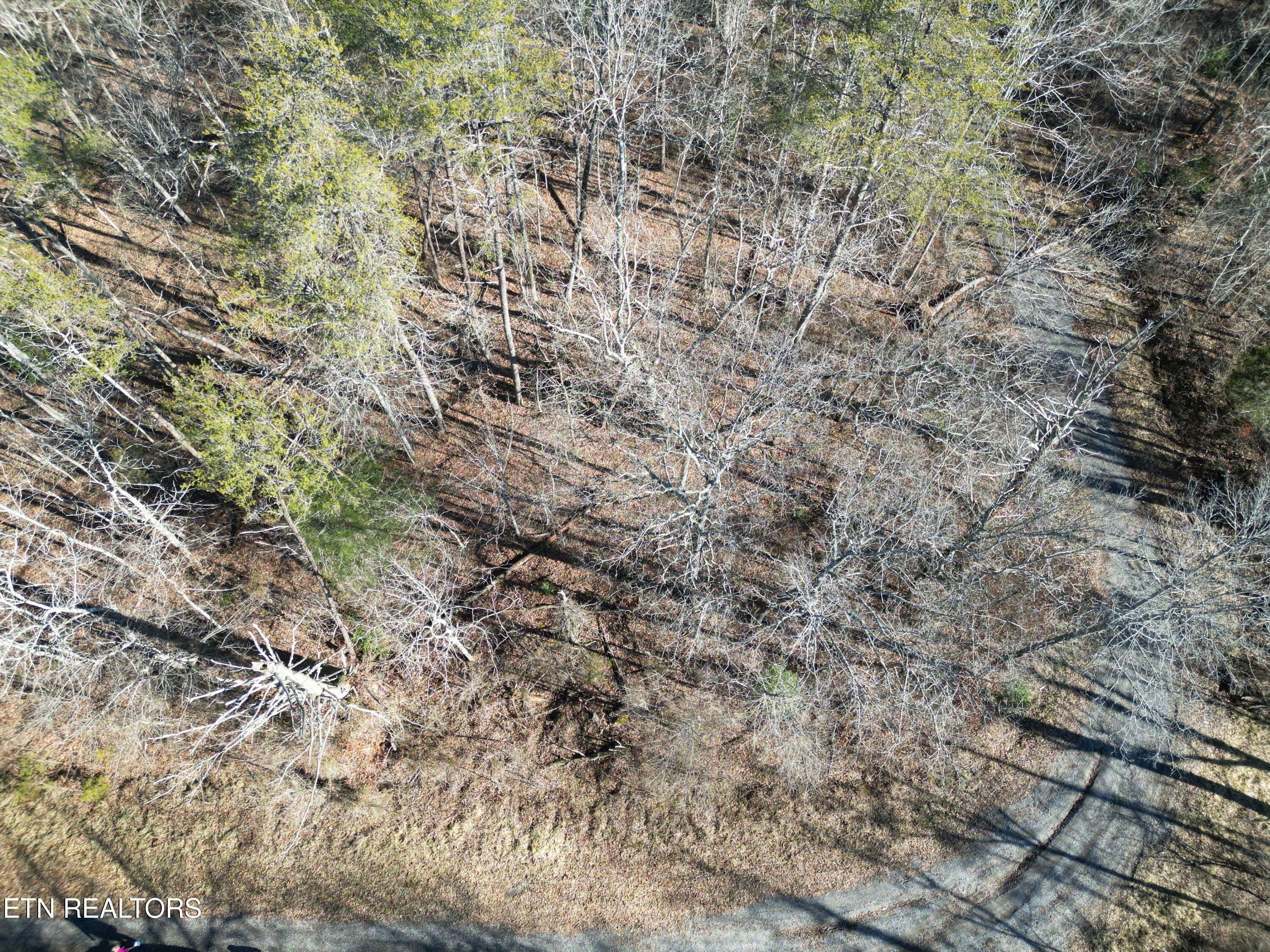 5048 Broken Bow Drive Property Photo 3