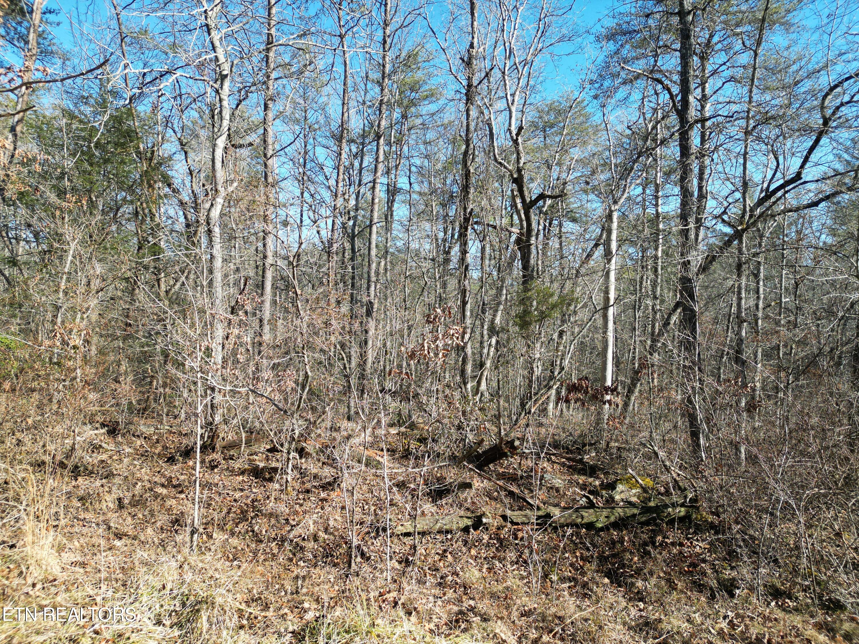 5048 Broken Bow Drive Property Photo 4