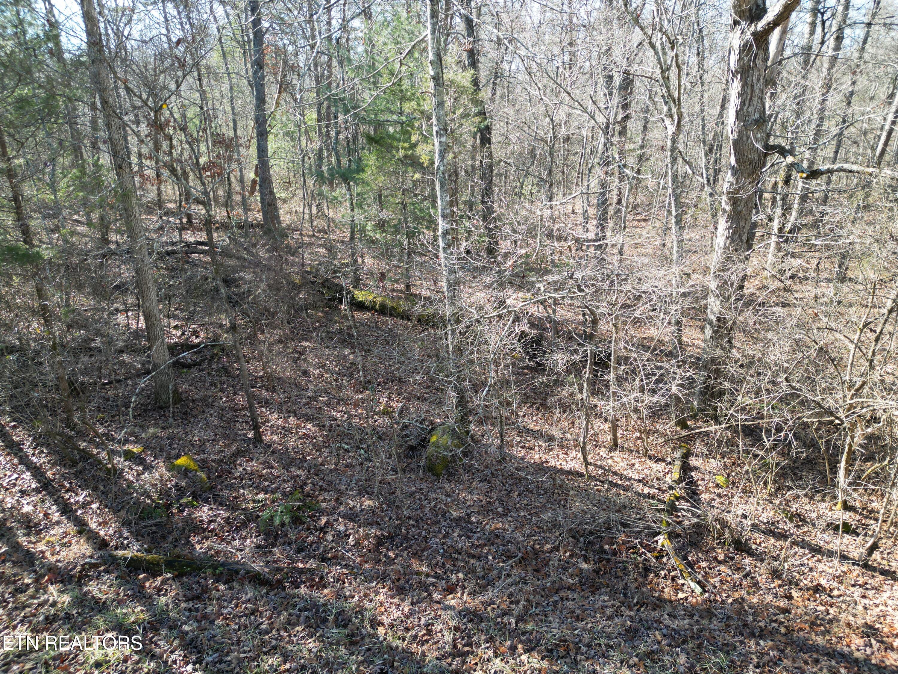 6024 Tomahawk Drive Property Photo 1