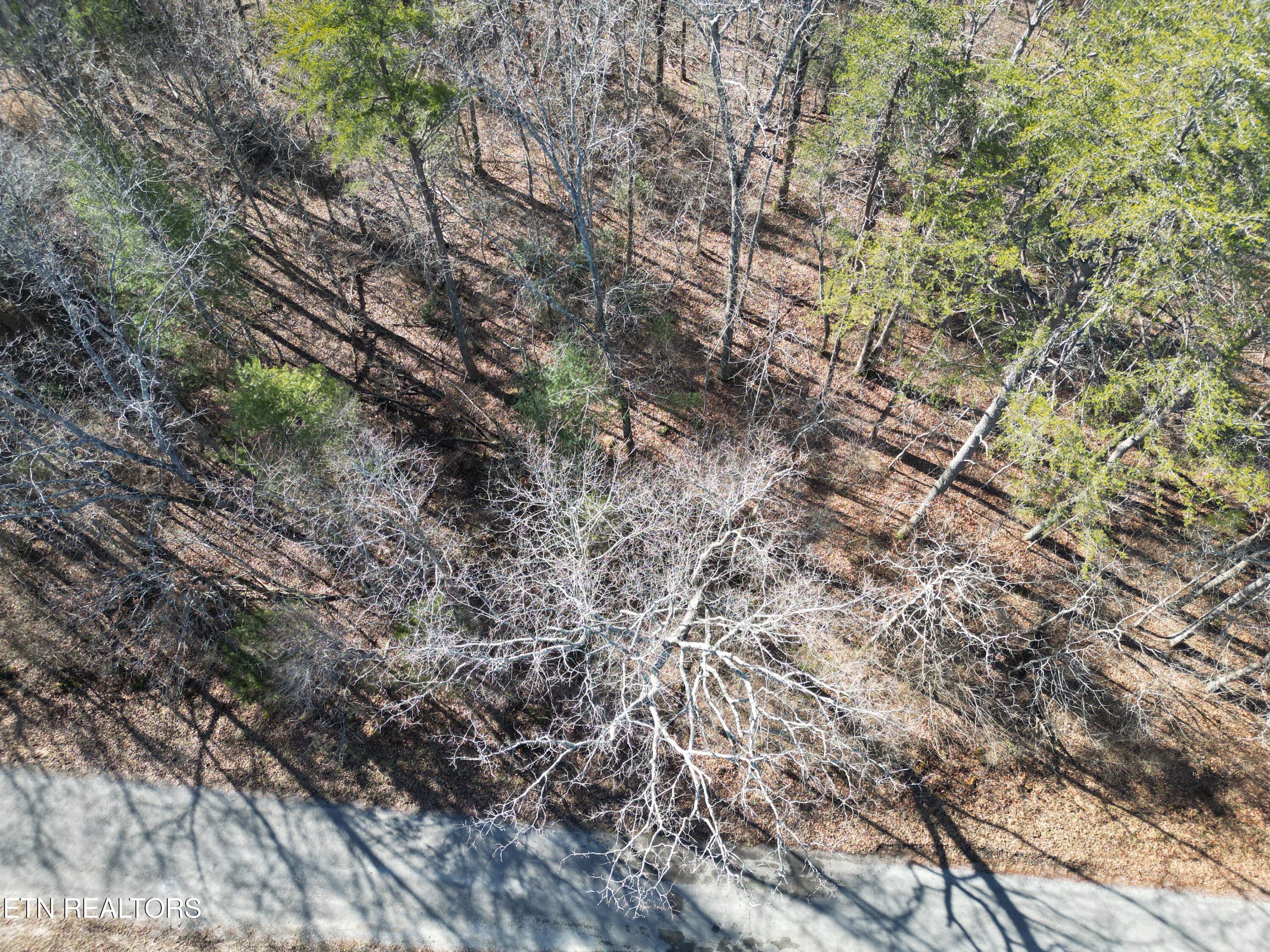 6024 Tomahawk Drive Property Photo 3