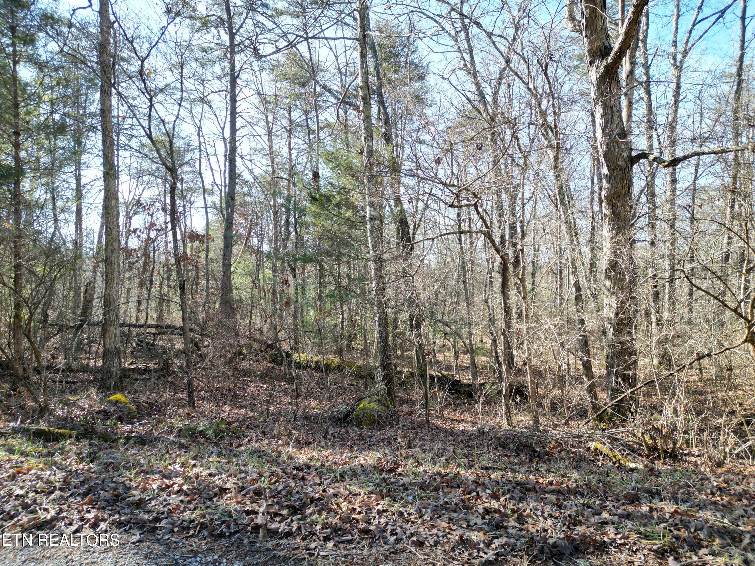 6024 Tomahawk Drive Property Photo 4