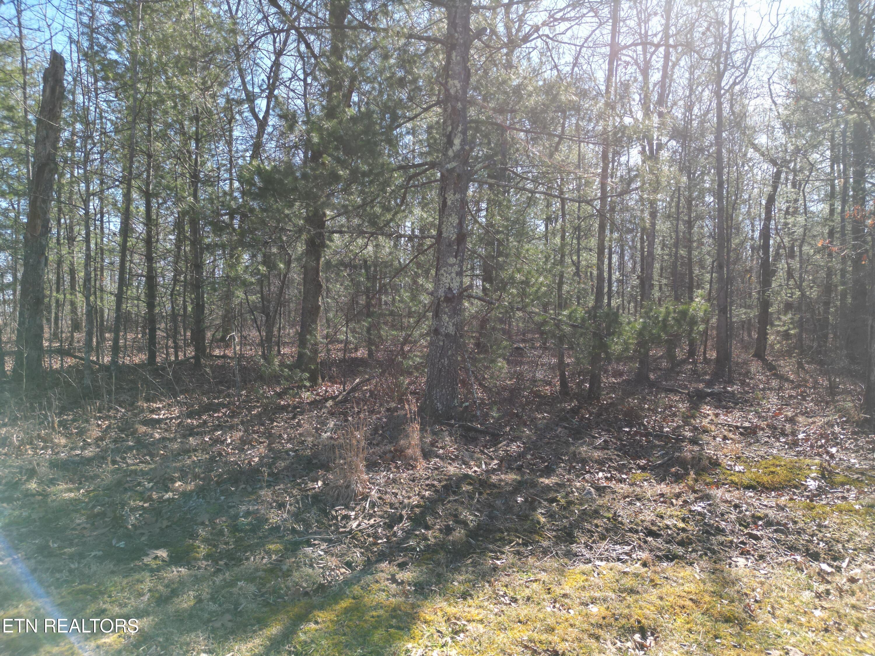 6119 Seneca Tr Property Photo 1
