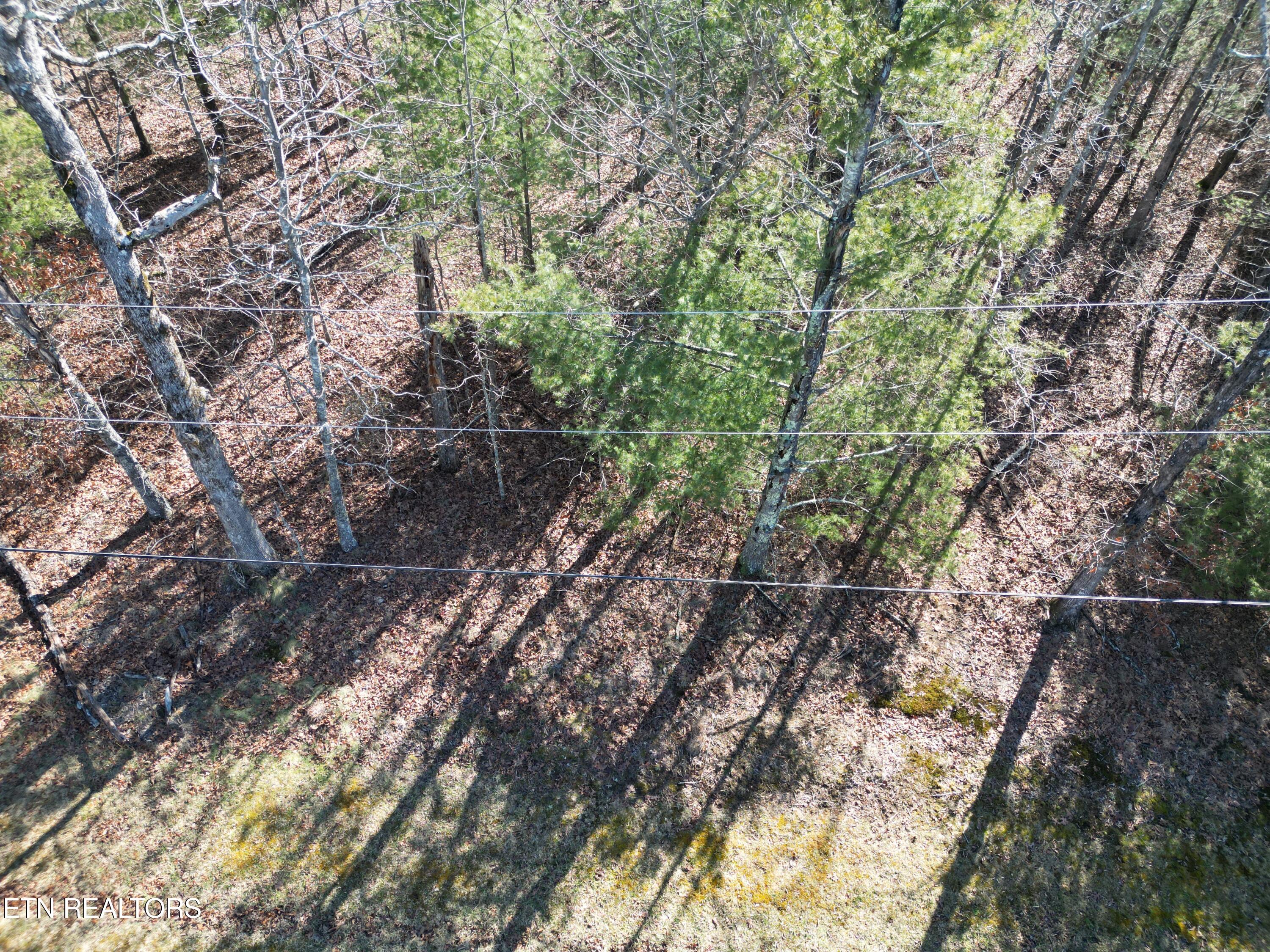 6119 Seneca Tr Property Photo 4