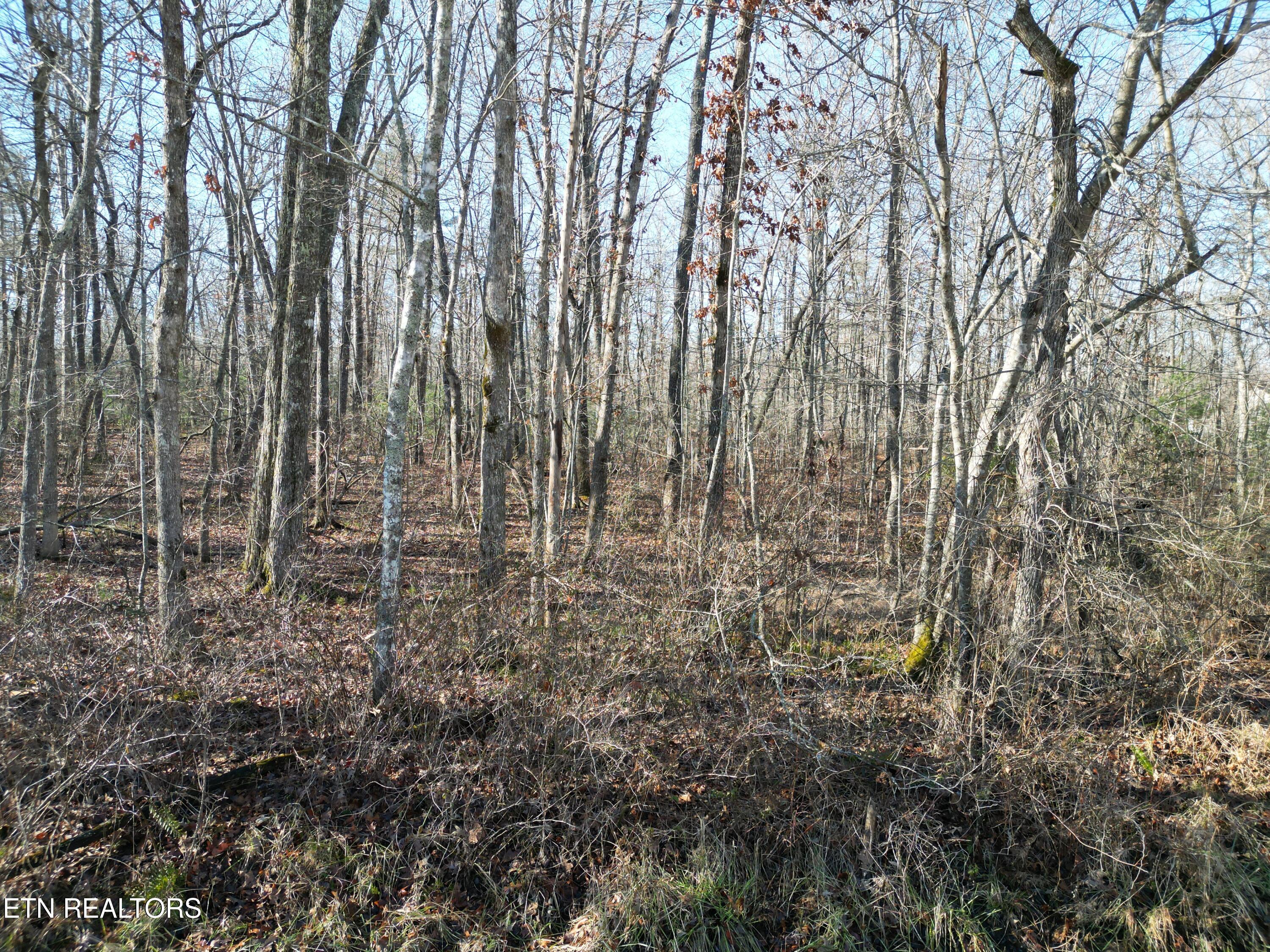 7017 Peoto Lane Property Photo 1