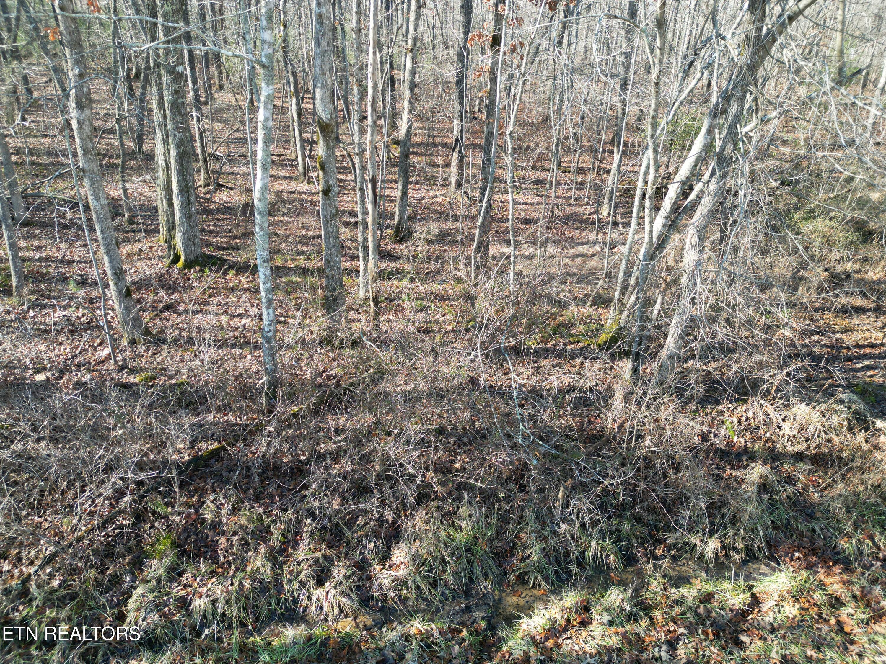 7017 Peoto Lane Property Photo 2