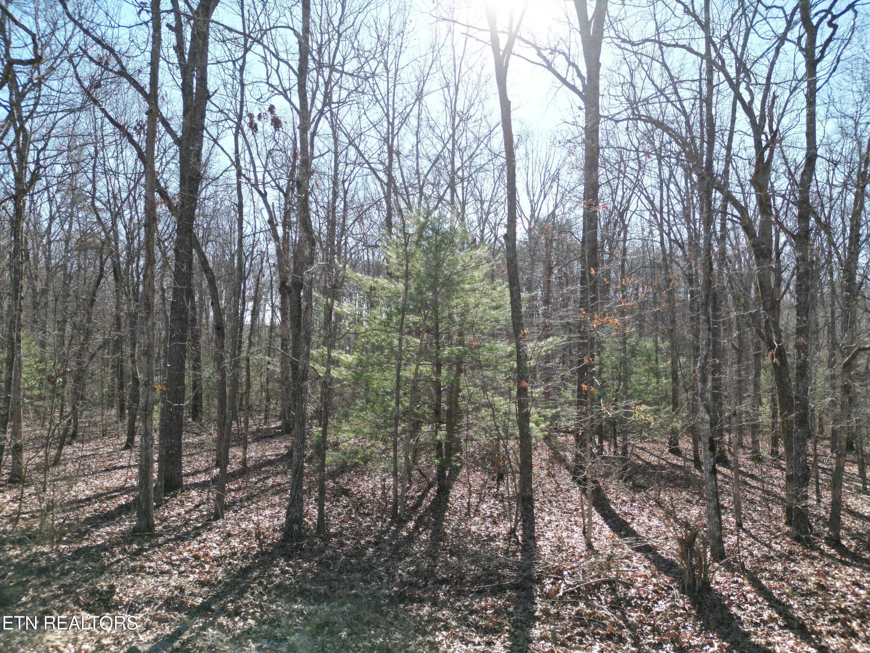 7032 Ute Lane Property Photo 1