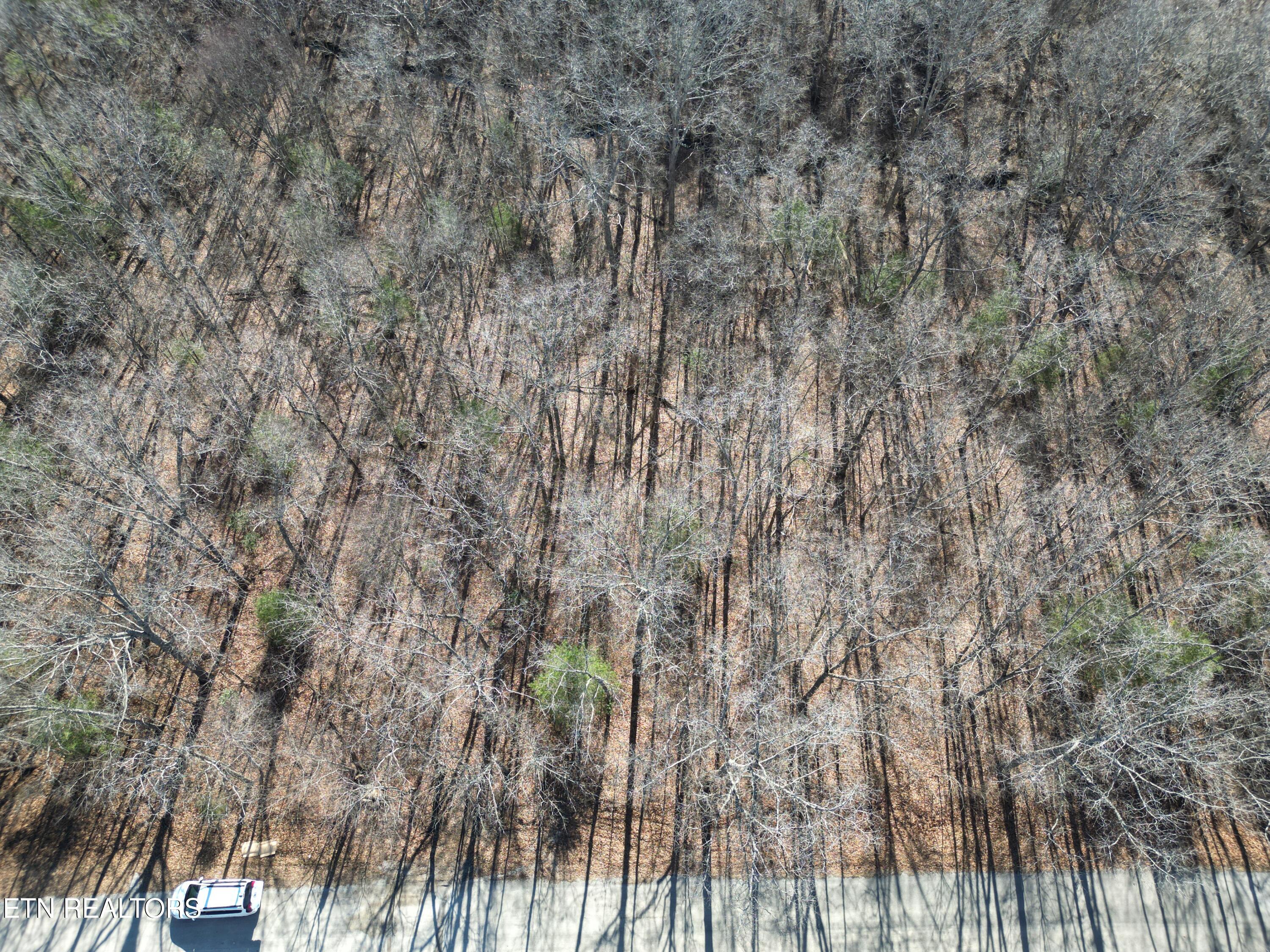 7032 Ute Lane Property Photo 2