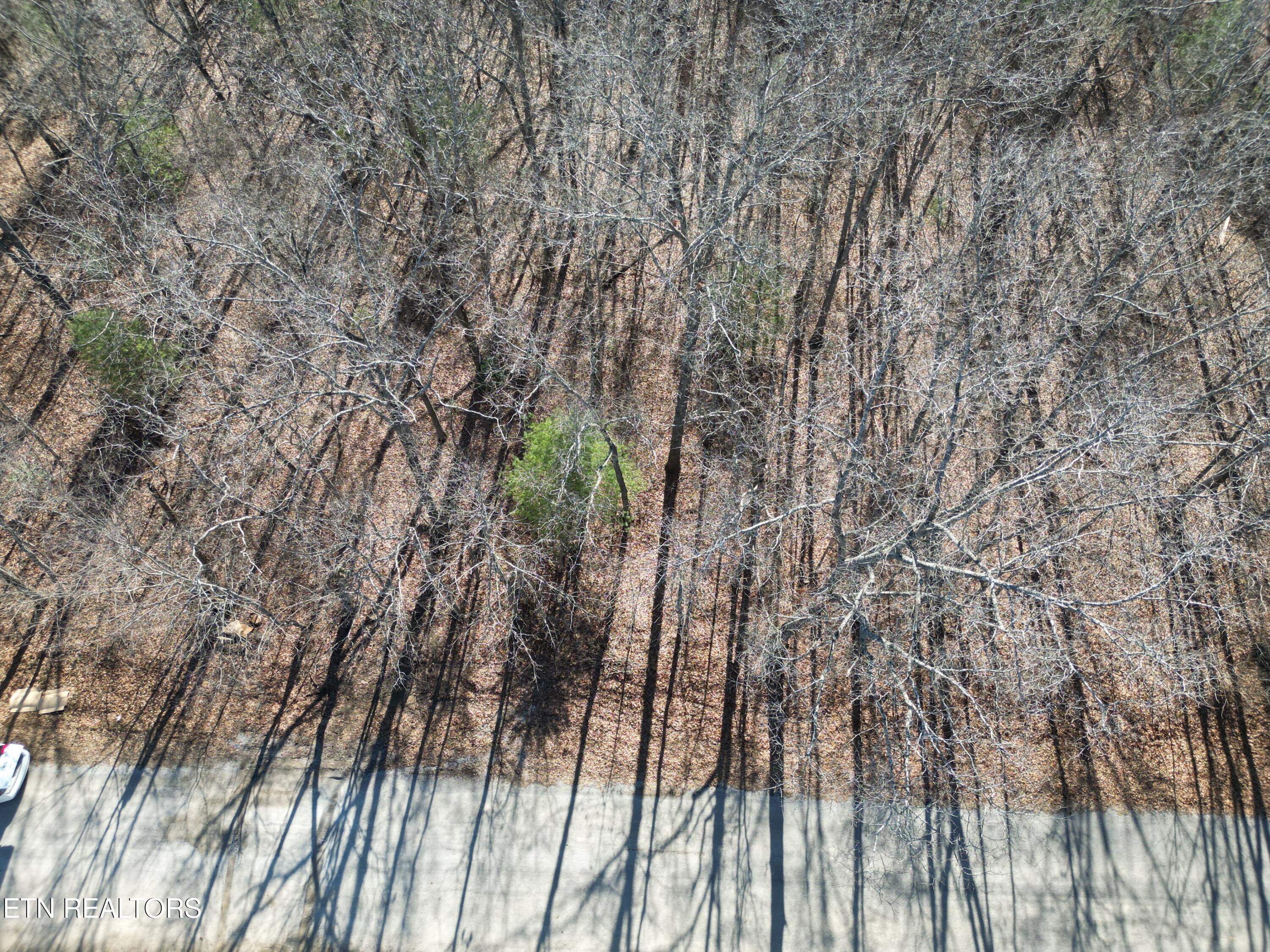 7032 Ute Lane Property Photo 3