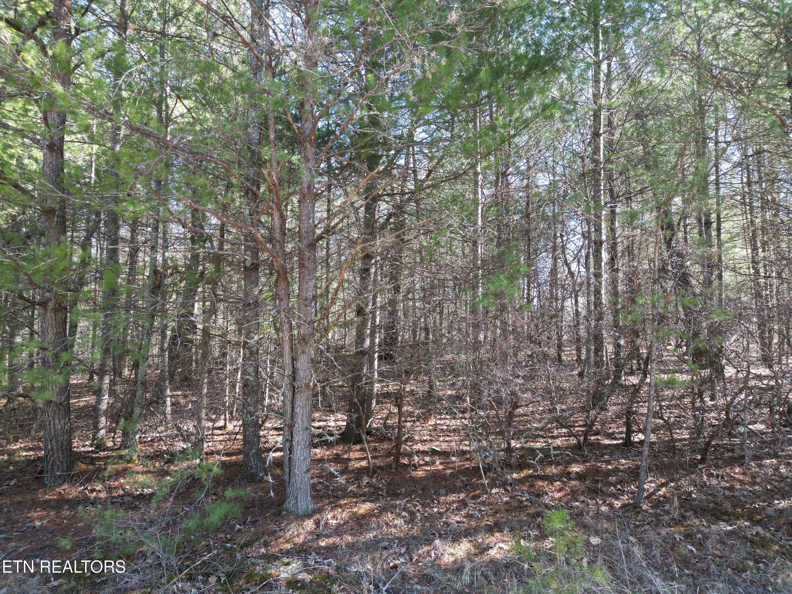 923 Paola Drive Property Photo 1