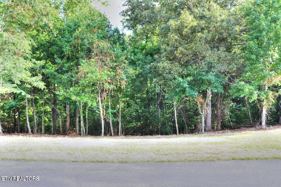 204 Property Photo