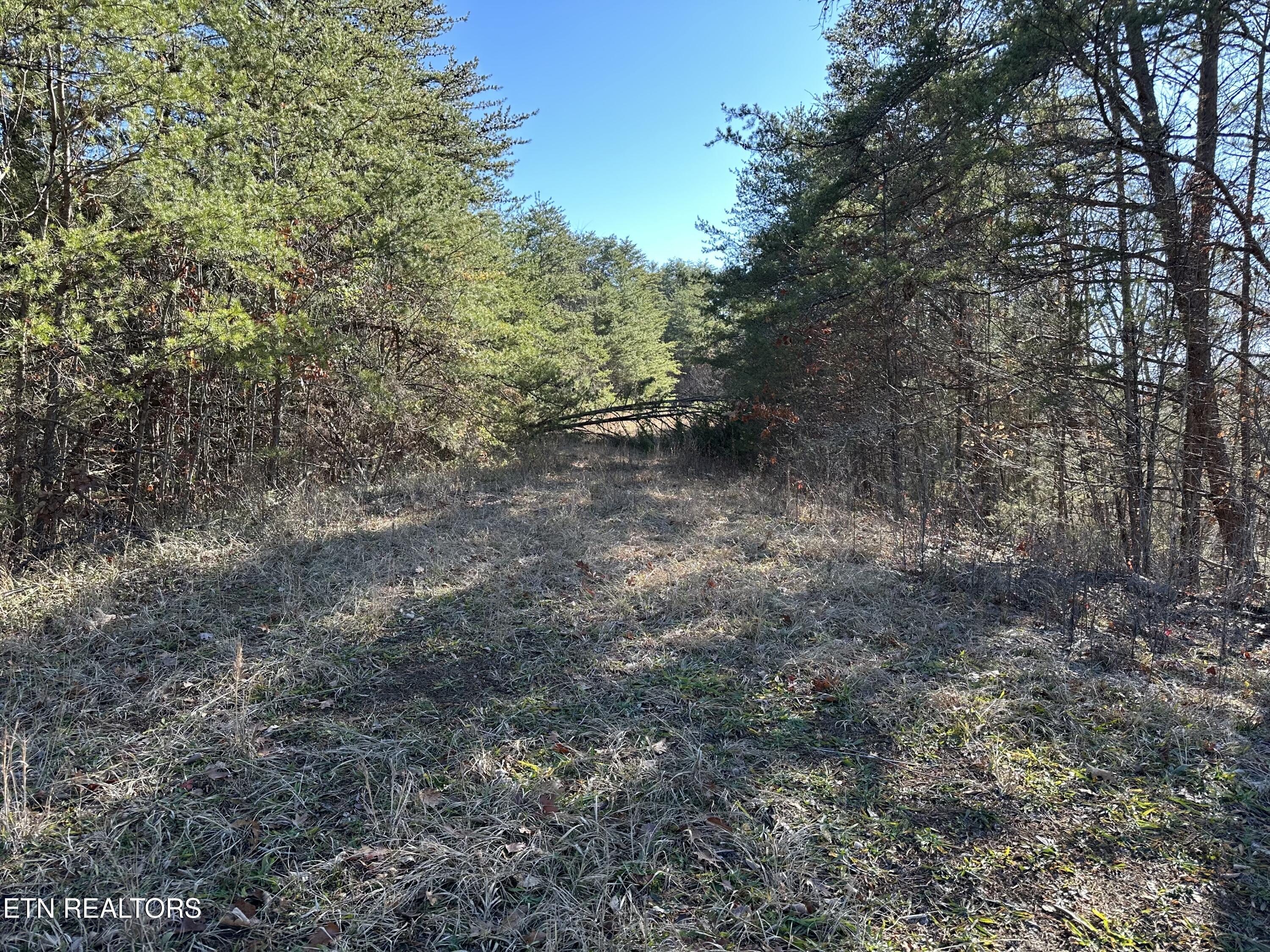 907 Sharp Rd Property Photo 3