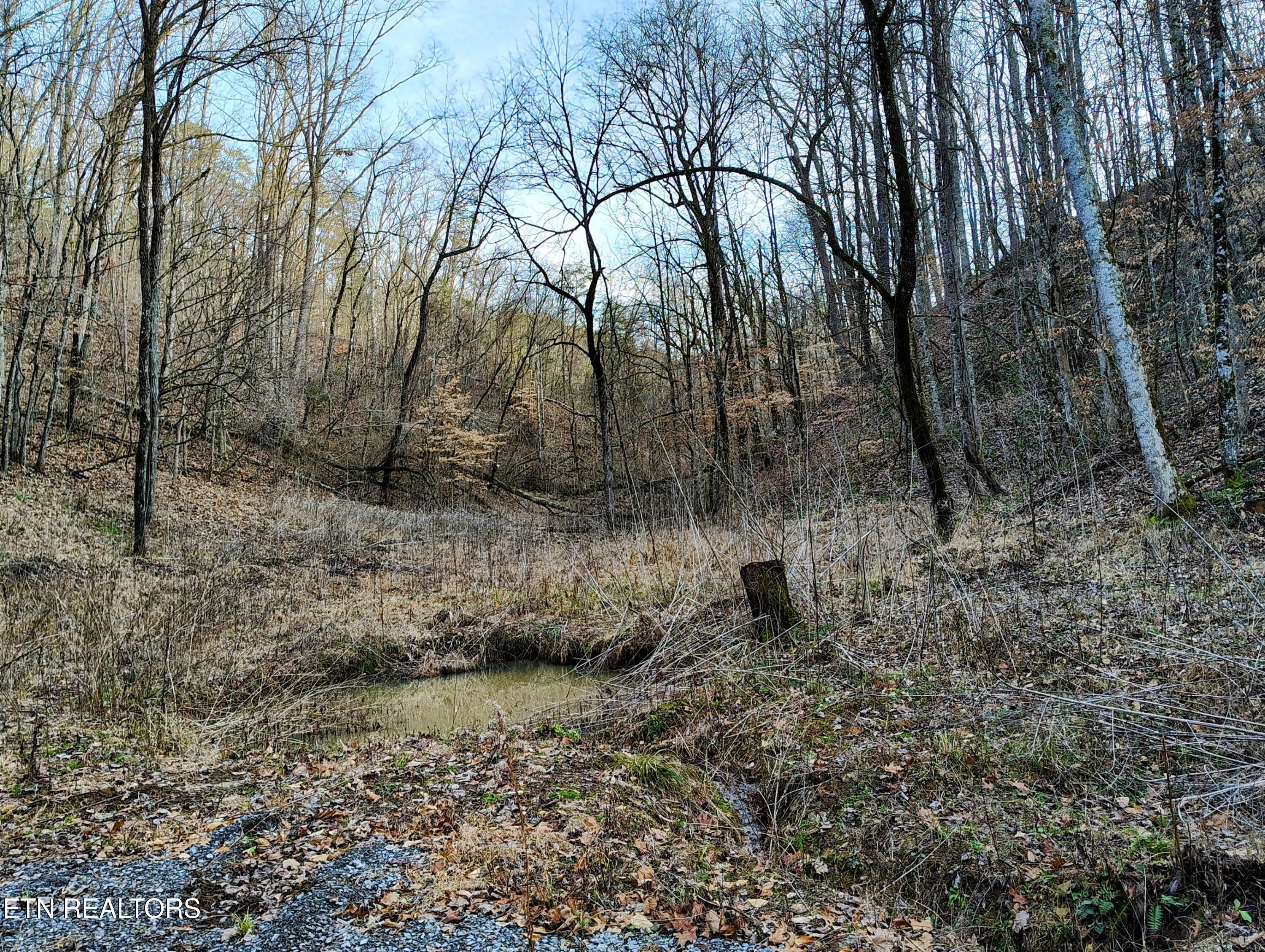 907 Sharp Rd Property Photo 5