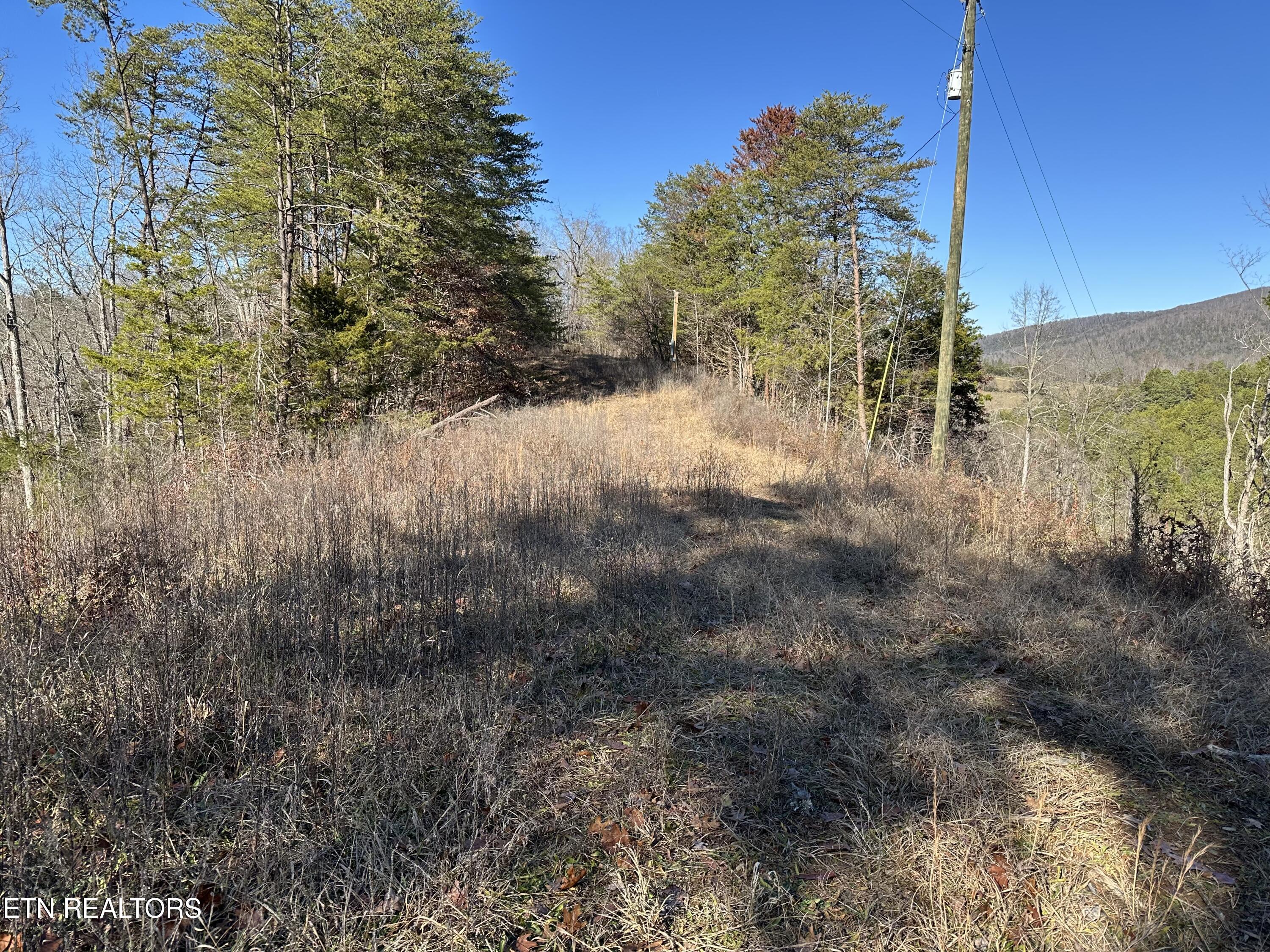 907 Sharp Rd Property Photo 6
