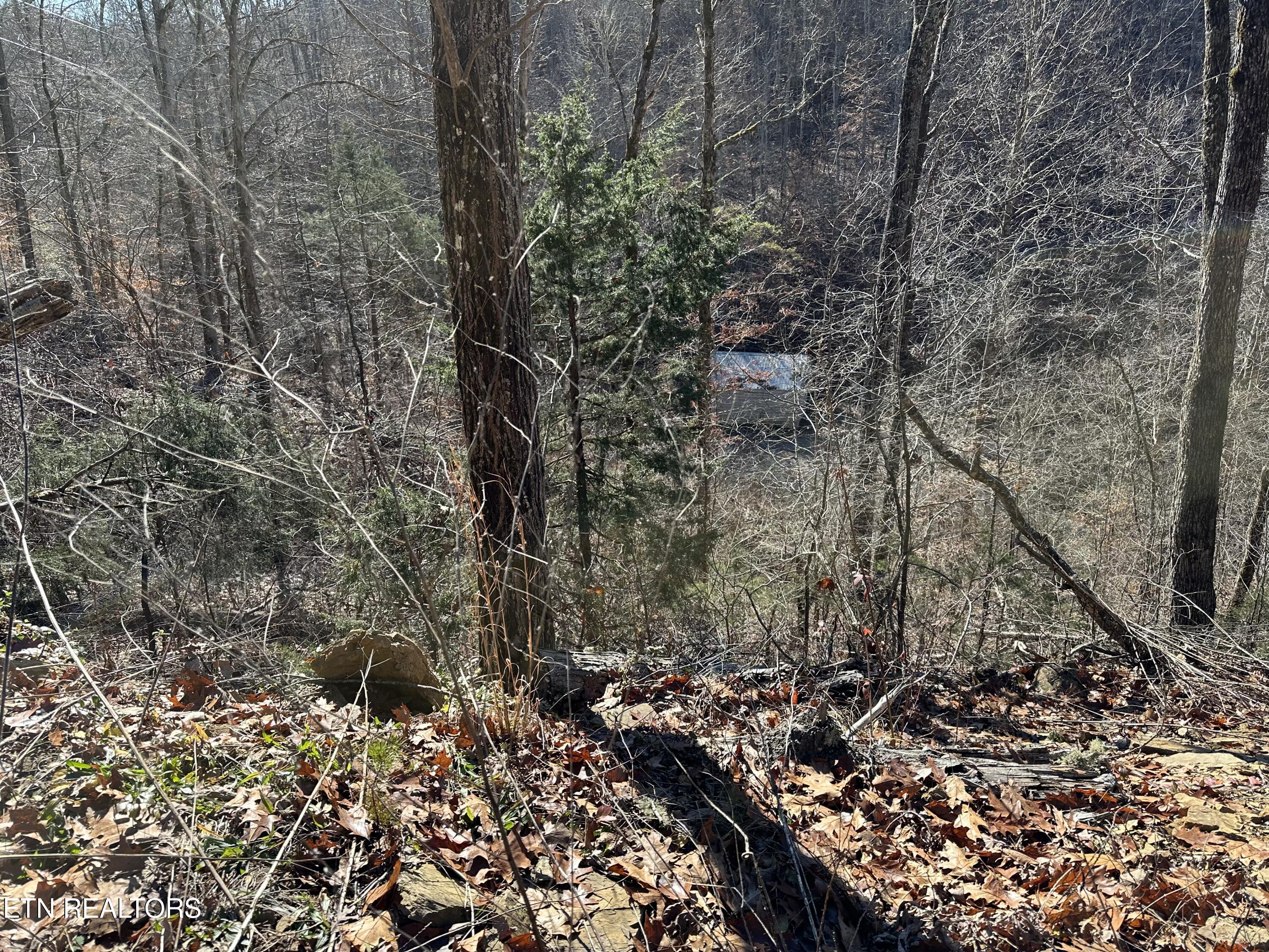 907 Sharp Rd Property Photo 9