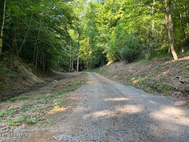 907 Sharp Rd Property Photo 12