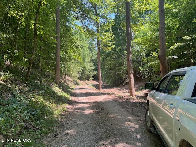 907 Sharp Rd Property Photo 13