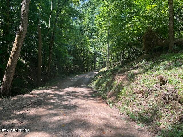 907 Sharp Rd Property Photo 14