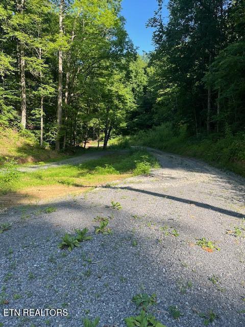 907 Sharp Rd Property Photo 18