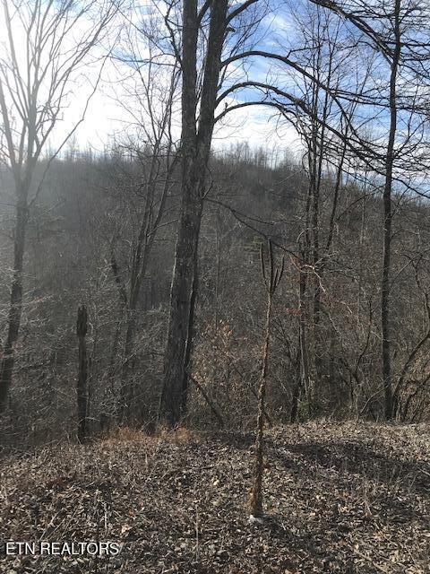 019 007.01 E Of Us Rt 27 Property Photo
