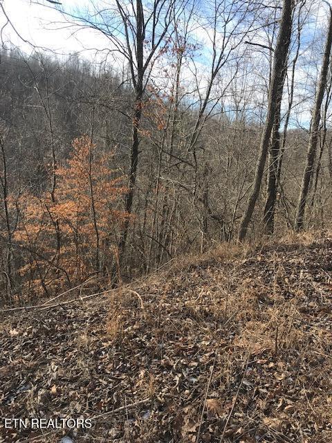 019 007.01 E Of Us Rt 27 Property Photo 2