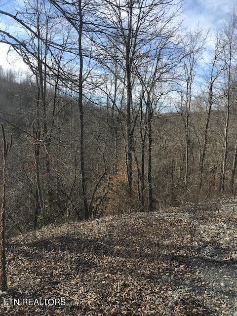 019 007.01 E Of Us Rt 27 Property Photo 3