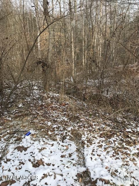 111 213.00 Concord Rd Property Photo 4