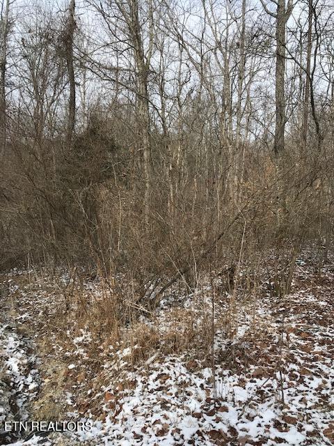 111 213.00 Concord Rd Property Photo 5