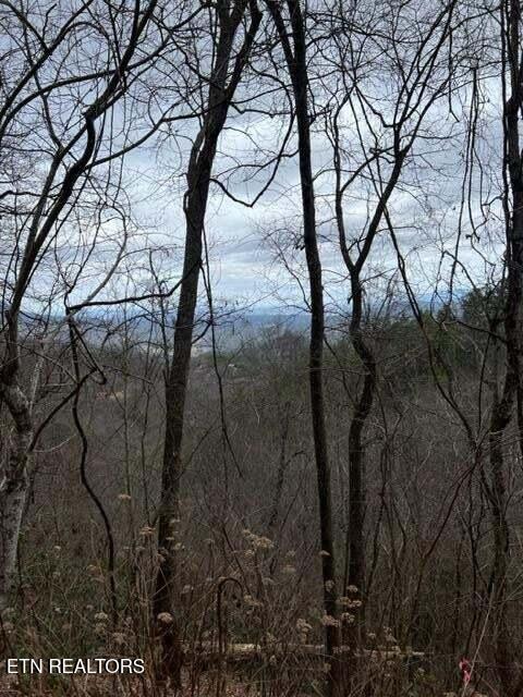 Lot 3 Overholt Tr Property Photo