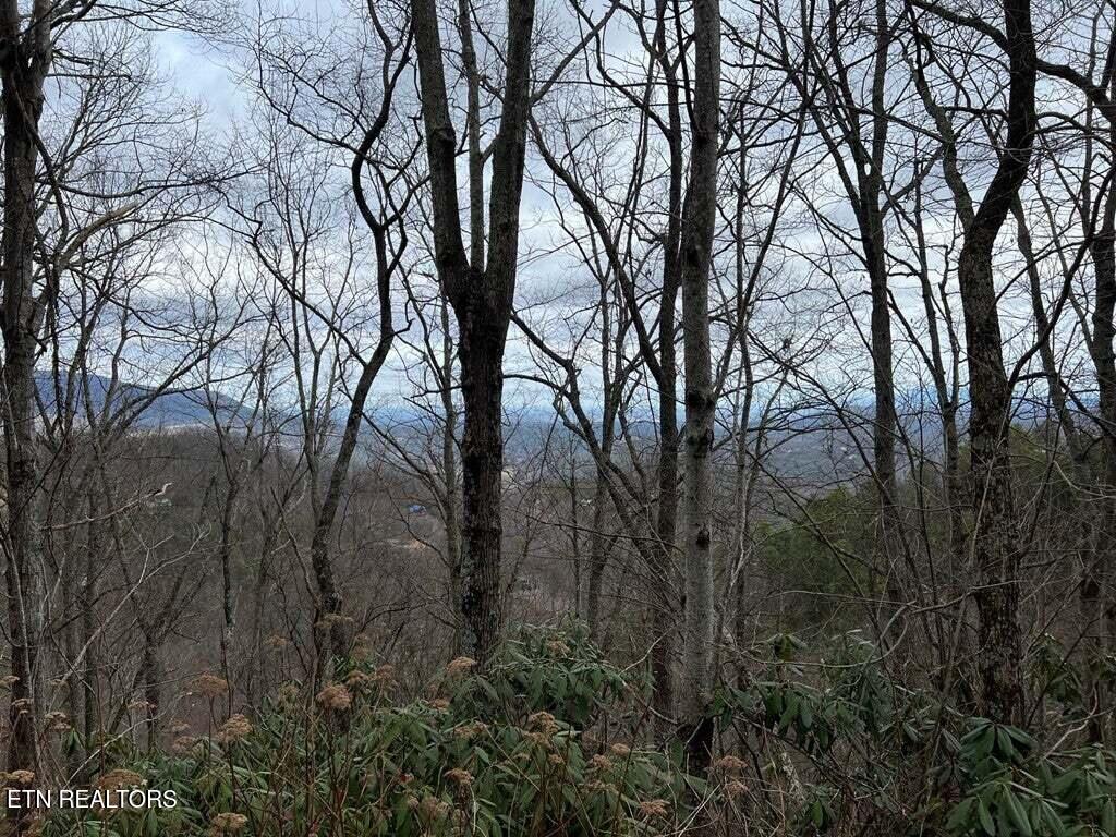 Lot 3 Overholt Tr Property Photo 2