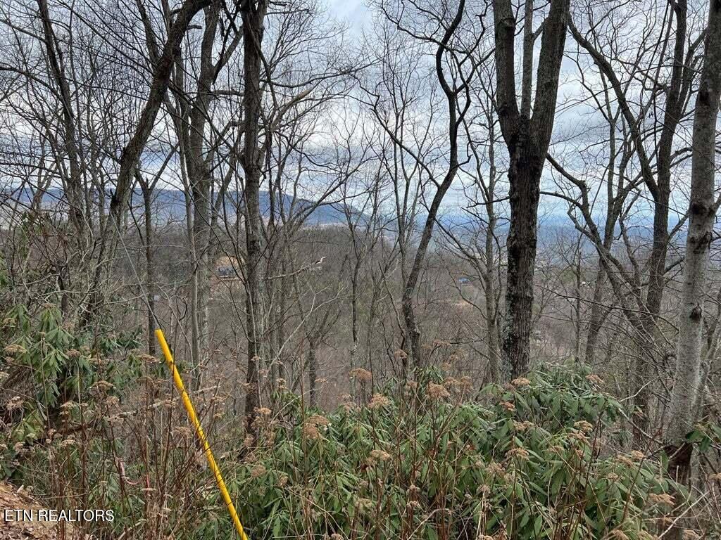 Lot 3 Overholt Tr Property Photo 4