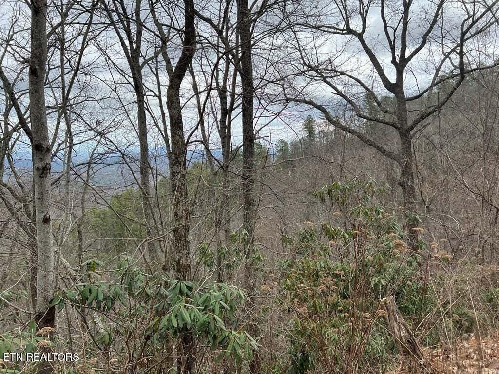 Lot 3 Overholt Tr Property Photo 5