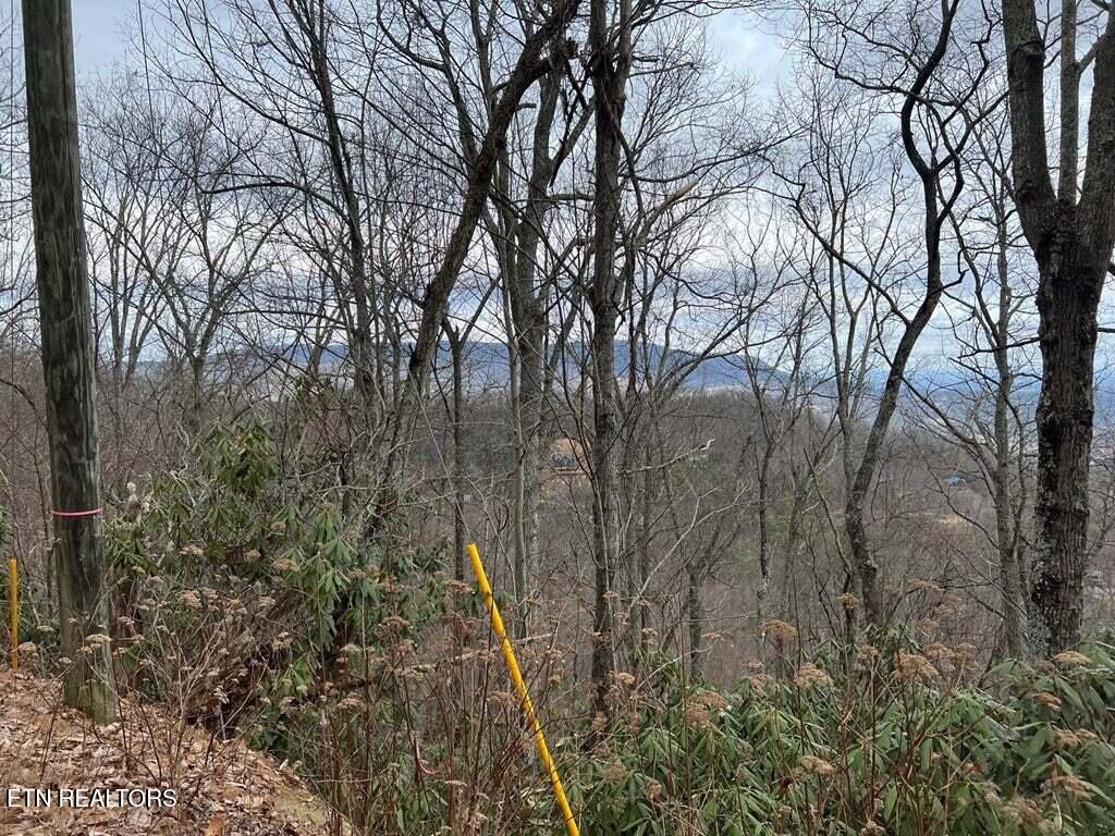 Lot 3 Overholt Tr Property Photo 6