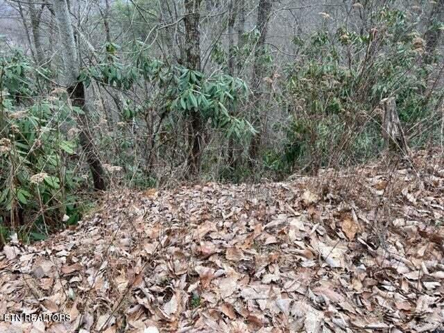 Lot 3 Overholt Tr Property Photo 7