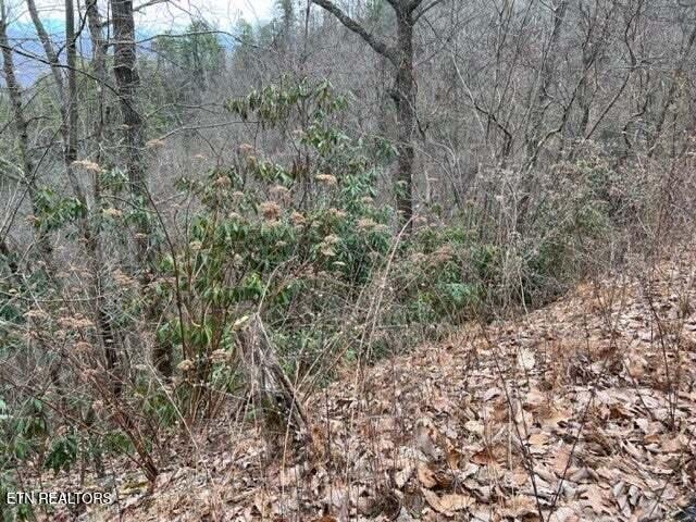 Lot 3 Overholt Tr Property Photo 8