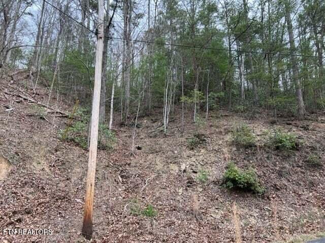 Sunset Rd Property Photo 5