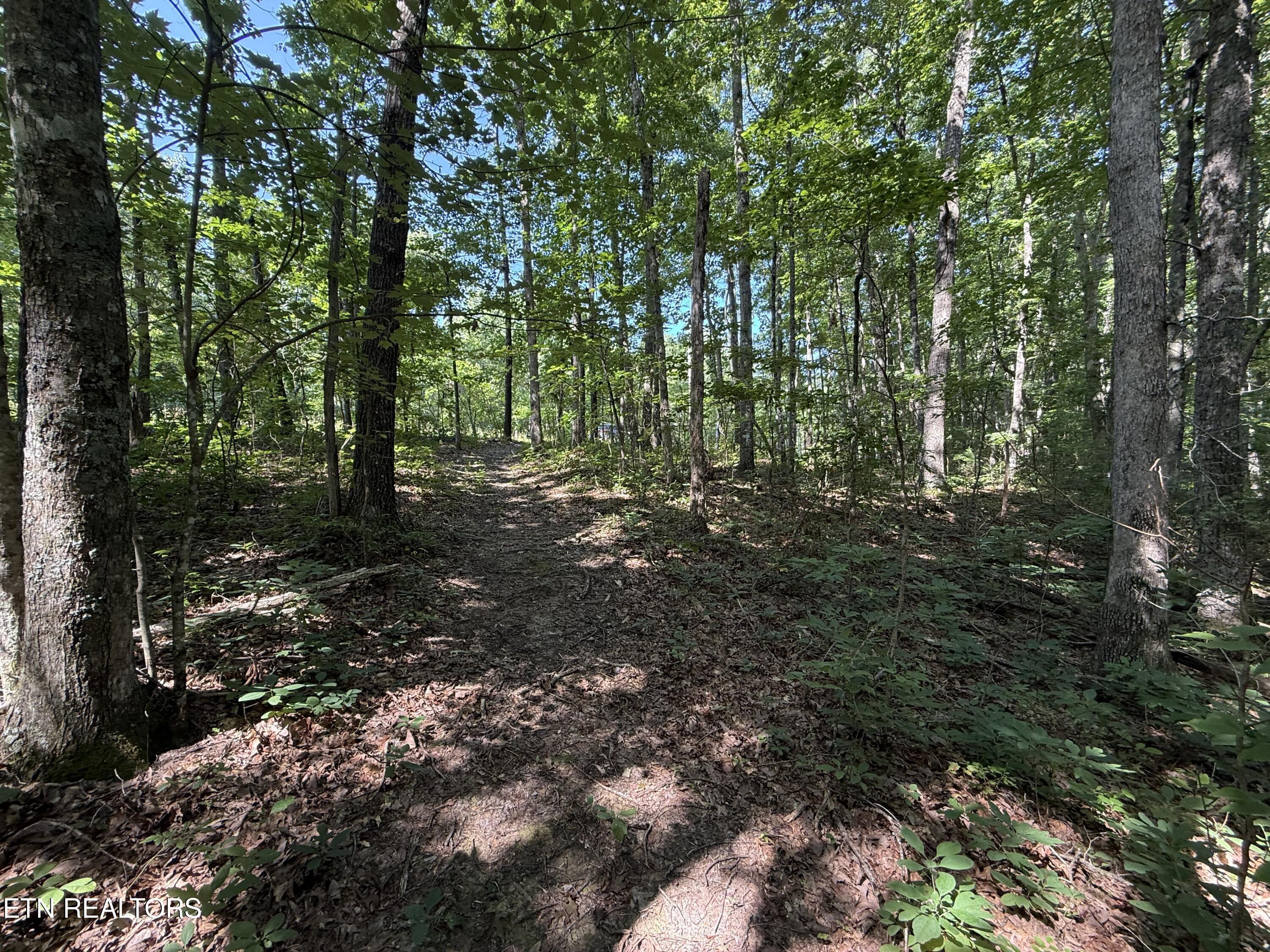 Little Place Property Photo 5