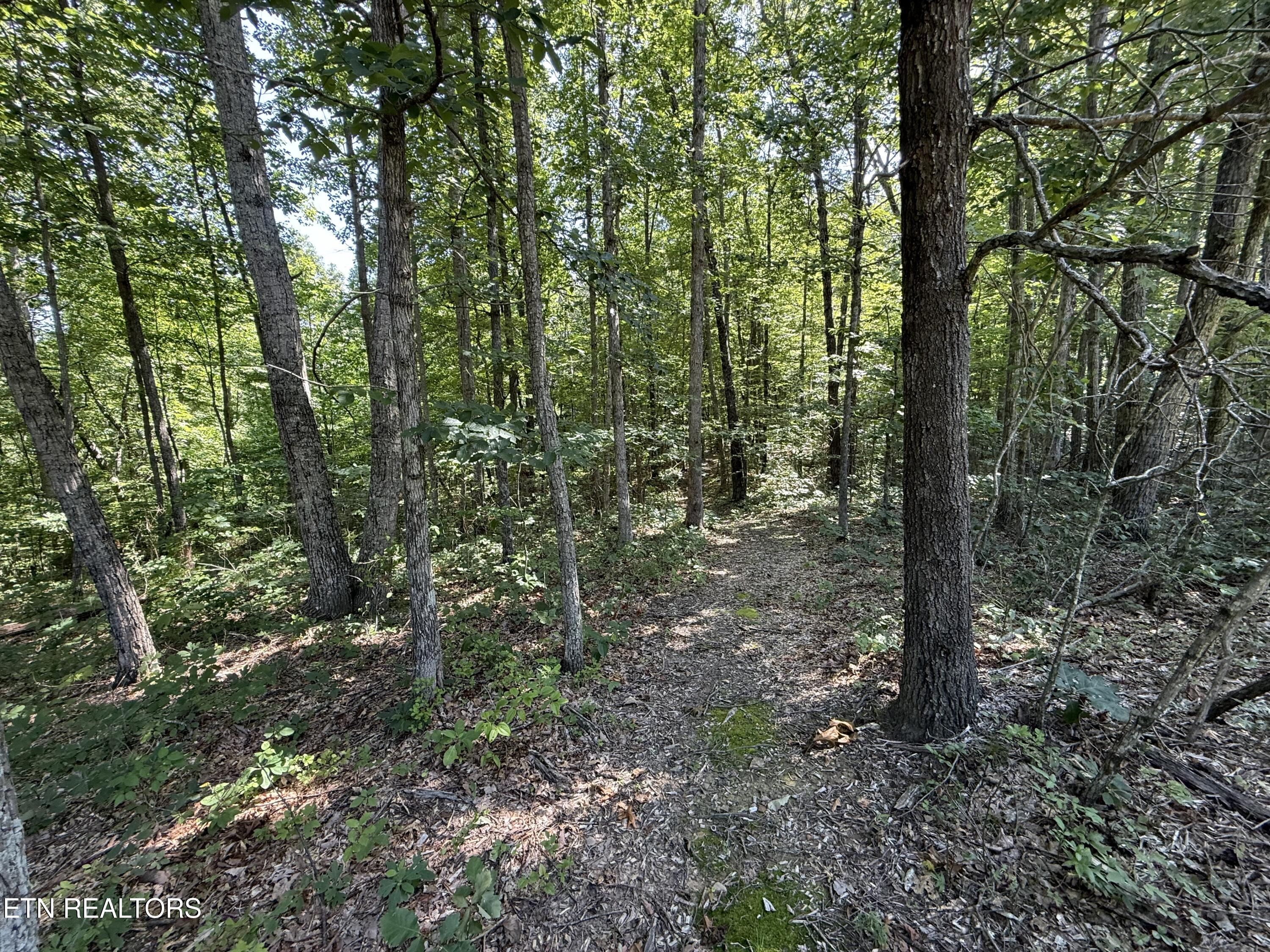 Little Place Property Photo 6