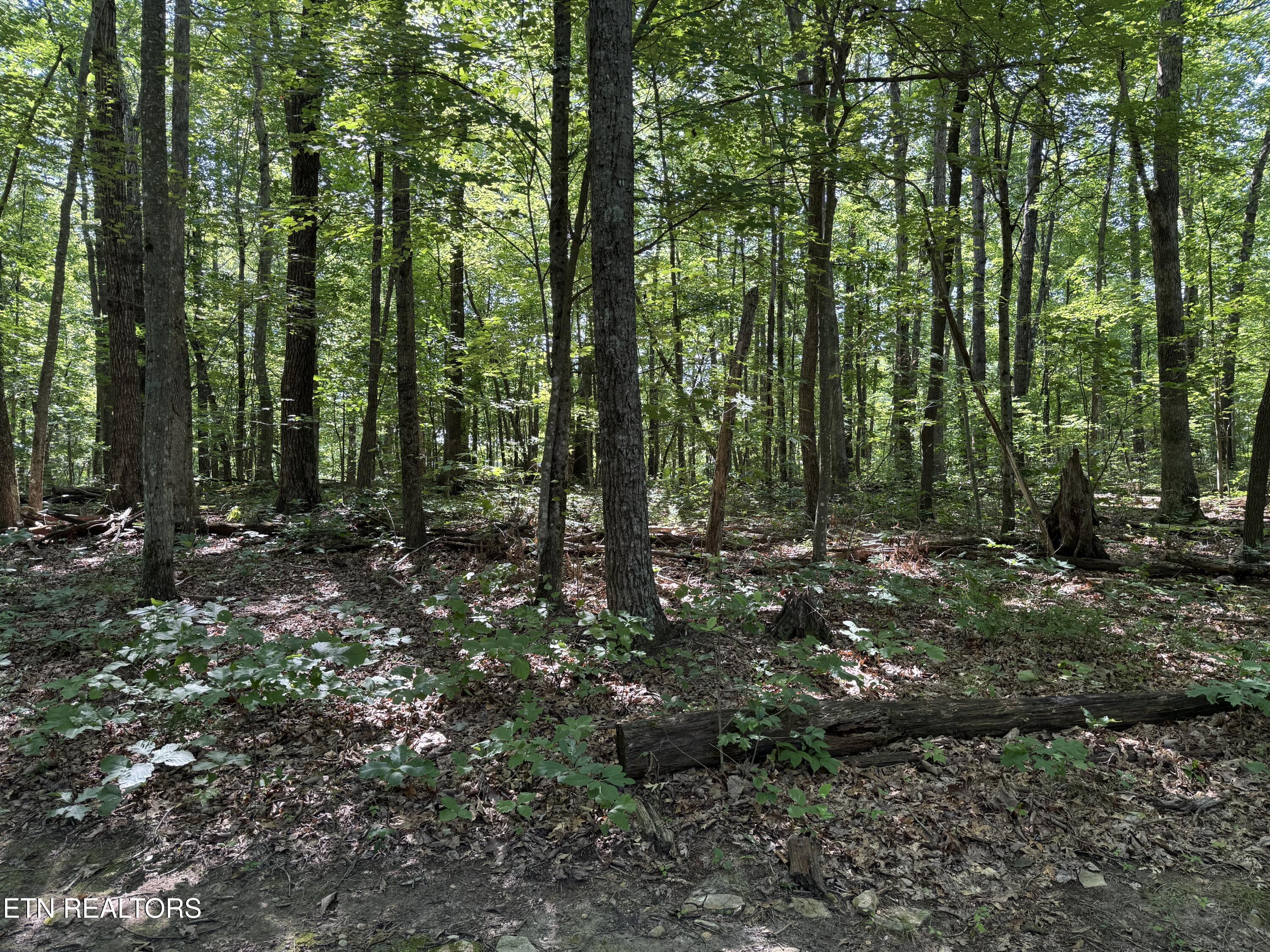 Little Place Property Photo 7