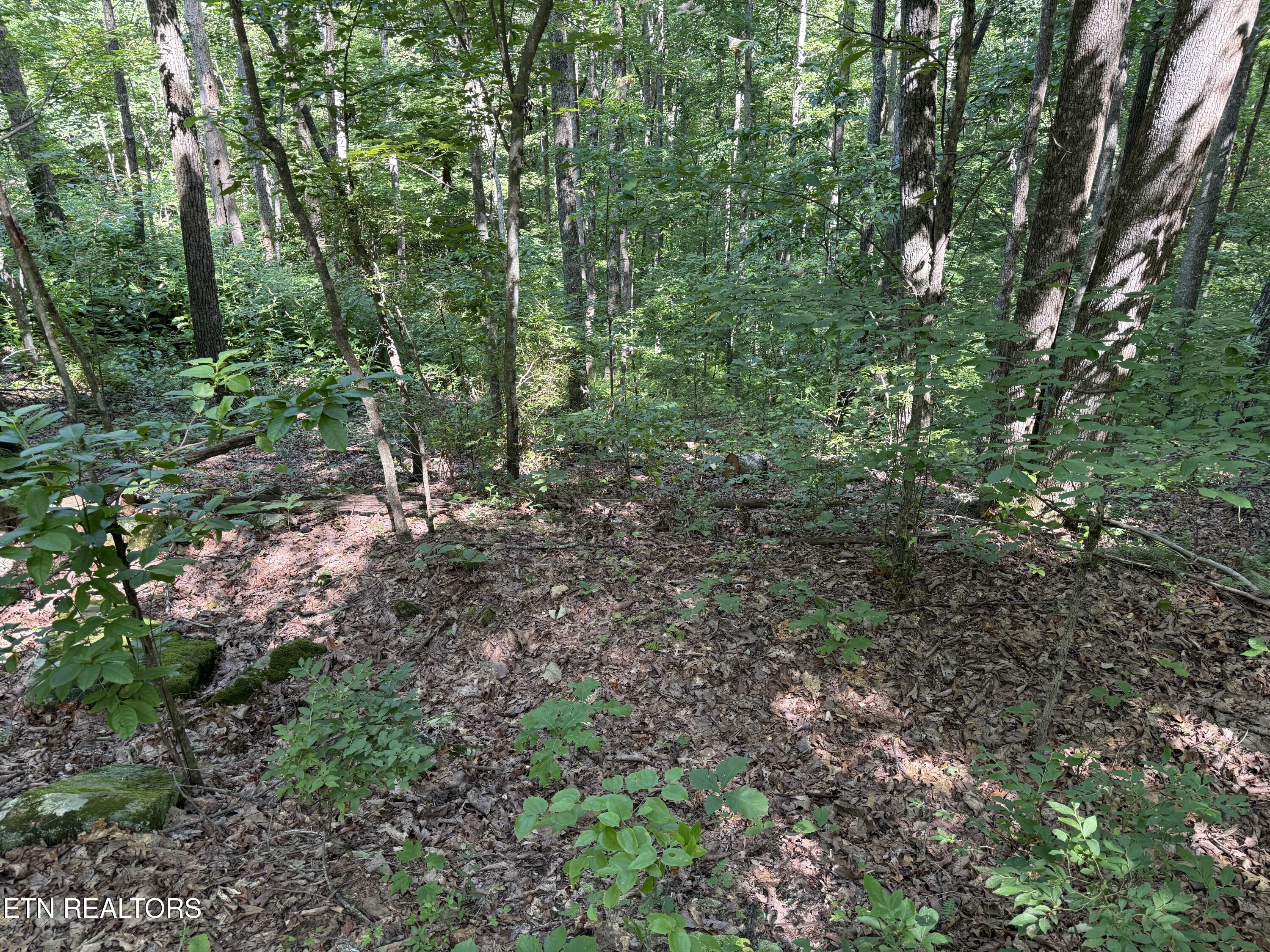 Little Place Property Photo 8