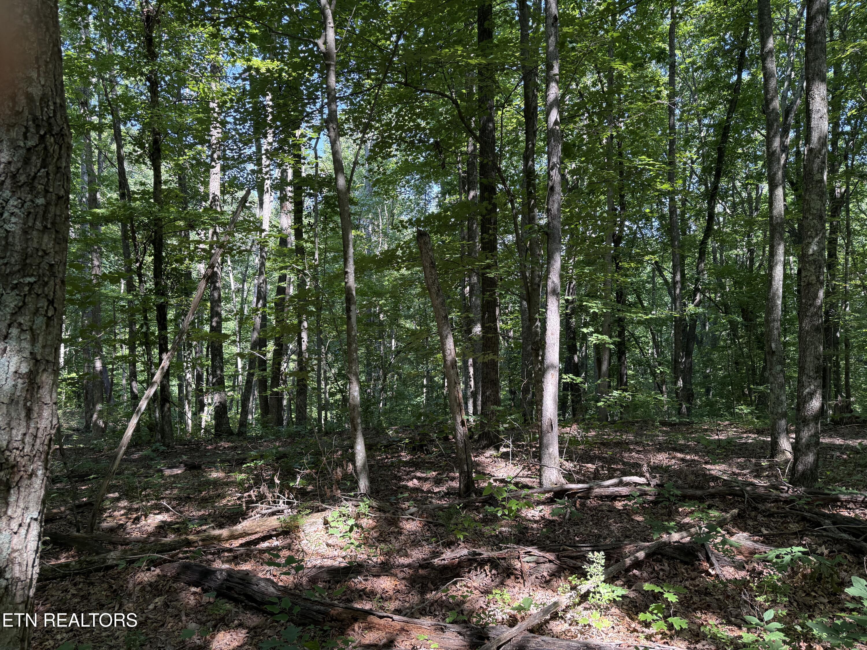 Little Place Property Photo 9