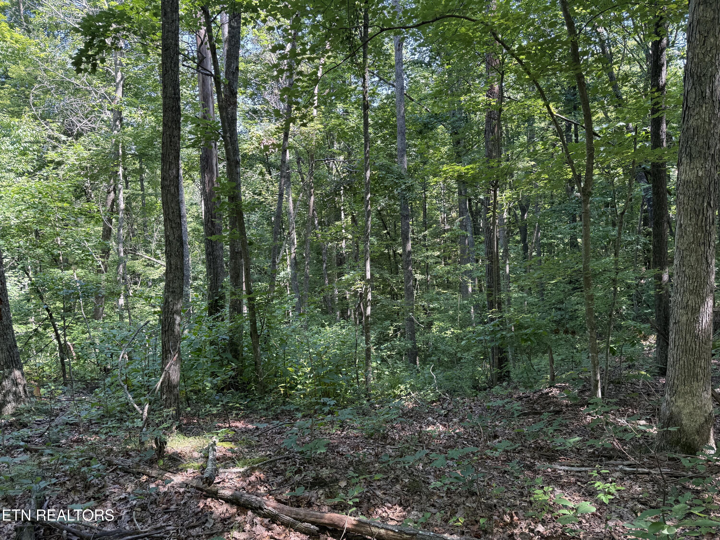 Little Place Property Photo 10